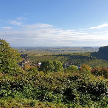 Gaestezimmer Waldblick * Leinsweiler