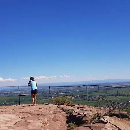 Gaestezimmer Waldblick *